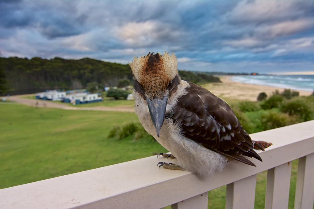 Beachcomber Holiday Park Potato Point Esterno foto